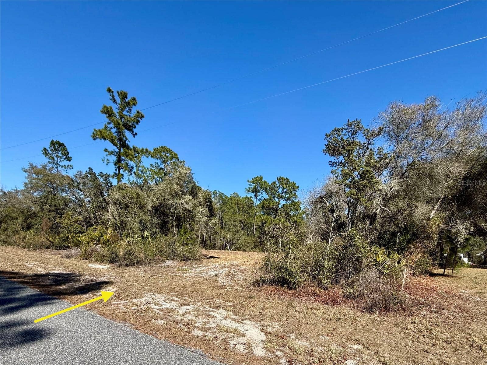 LOT 11 POINCIANA STREET, Eustis, FL 32736 LOT 11 POINCIANA STREET, Eustis, FL 32736