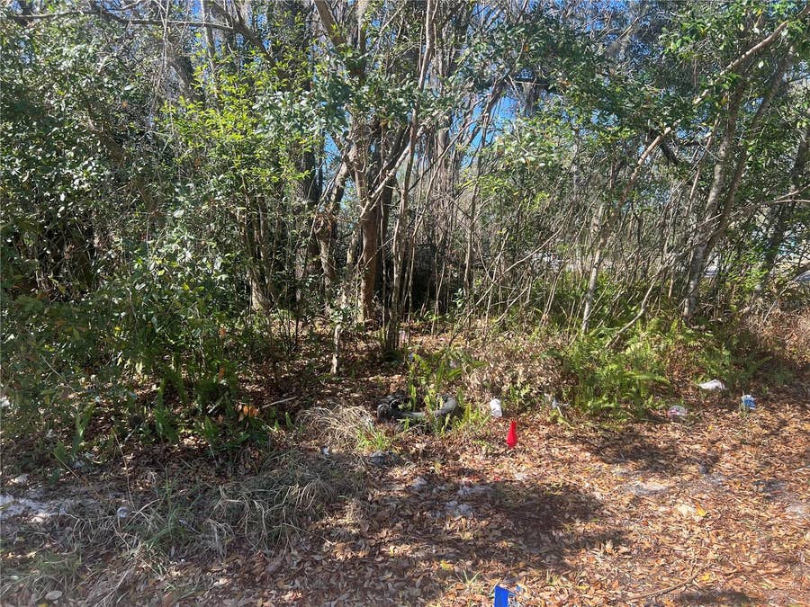 Property photo for 0 STINSON STREET, Leesburg, FL