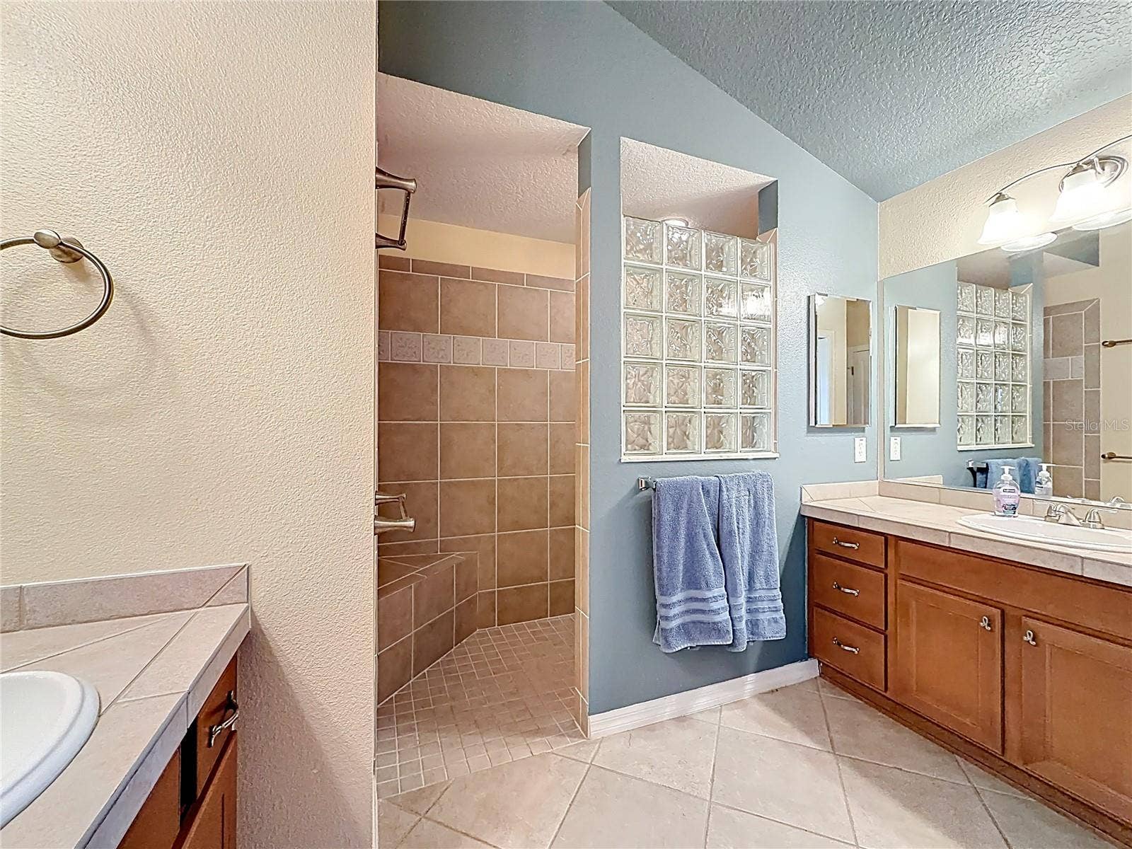 2679 LANTANA AVENUE, The Villages, FL 32162 Primary Bath
