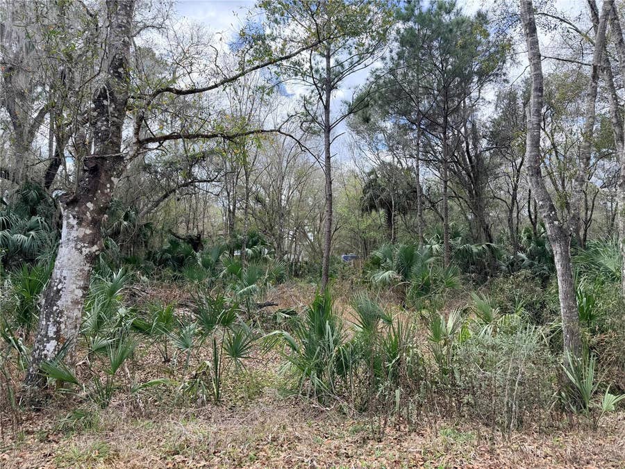 Property photo for 736 S SICKLE POINT, Inverness, FL