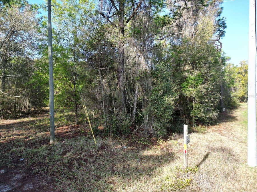Property photo for 0000 E HWY 25, Belleview, FL