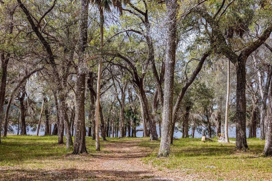Property photo for 0 FOREST  02, #2, SE 150TH STREET, Umatilla, FL