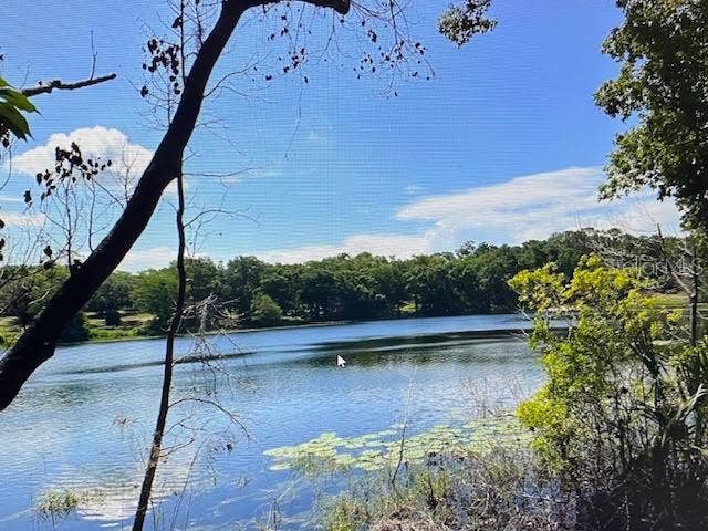 Property photo for 2&3 SPRING LAKE ROAD, Fruitland Park, FL