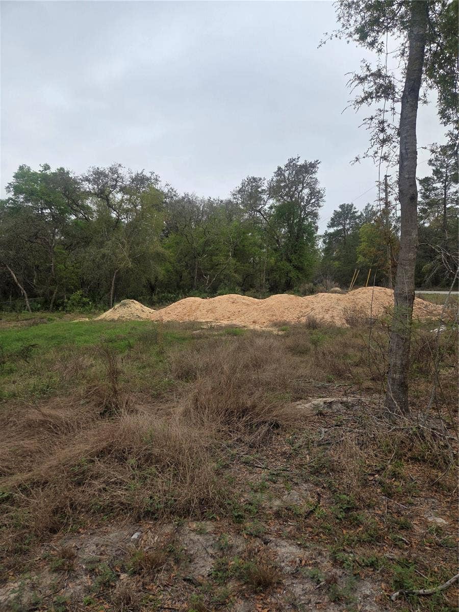 Property photo for 127 SEQUOIA TRAIL, Ocklawaha, FL