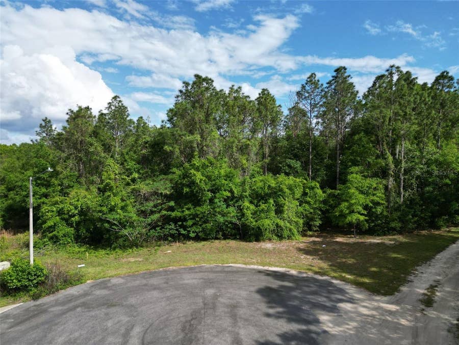 Property photo for 0000 SE 119 STREET, Belleview, FL