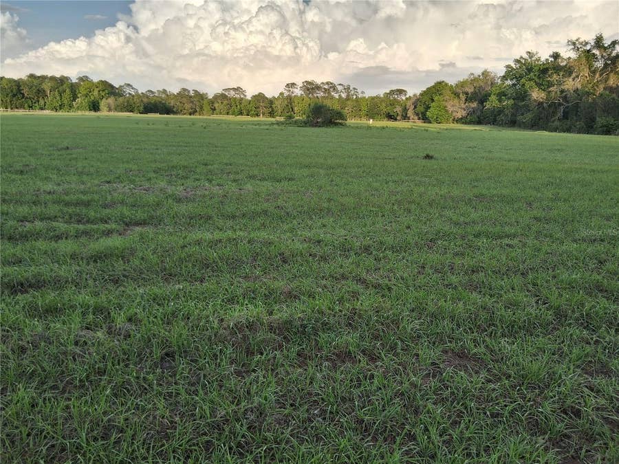 Property photo for 1613 NE 12TH AVENUE, Sumterville, FL