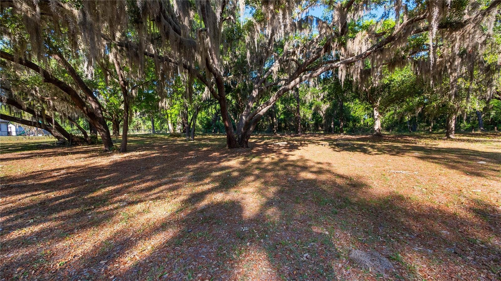 LEGACY WOODS, Groveland, FL 34736
