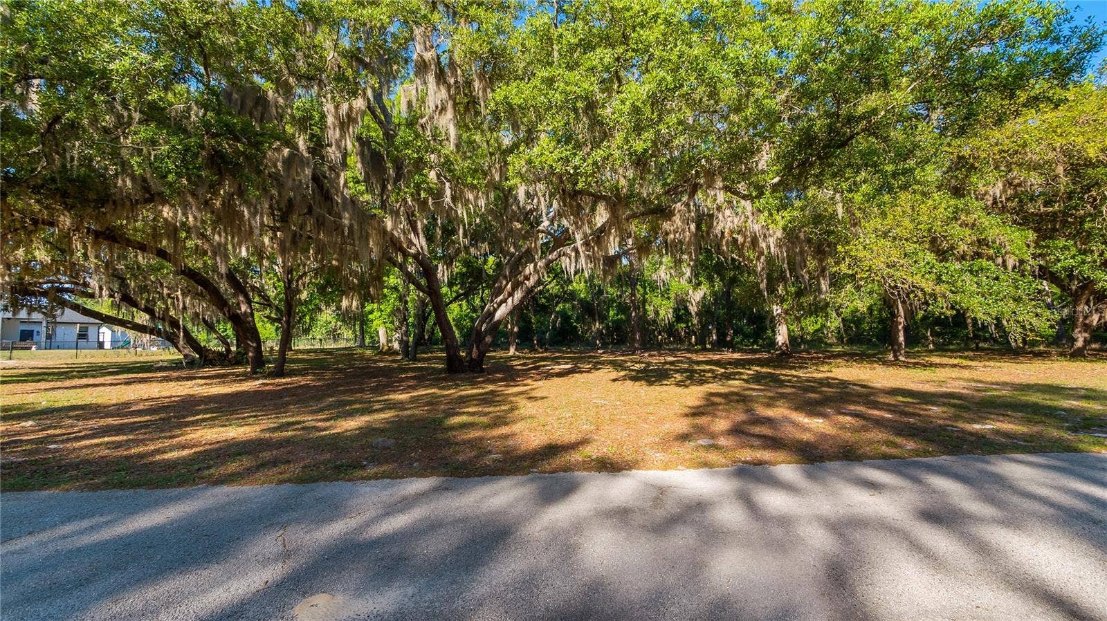 LEGACY WOODS, Groveland, FL 34736