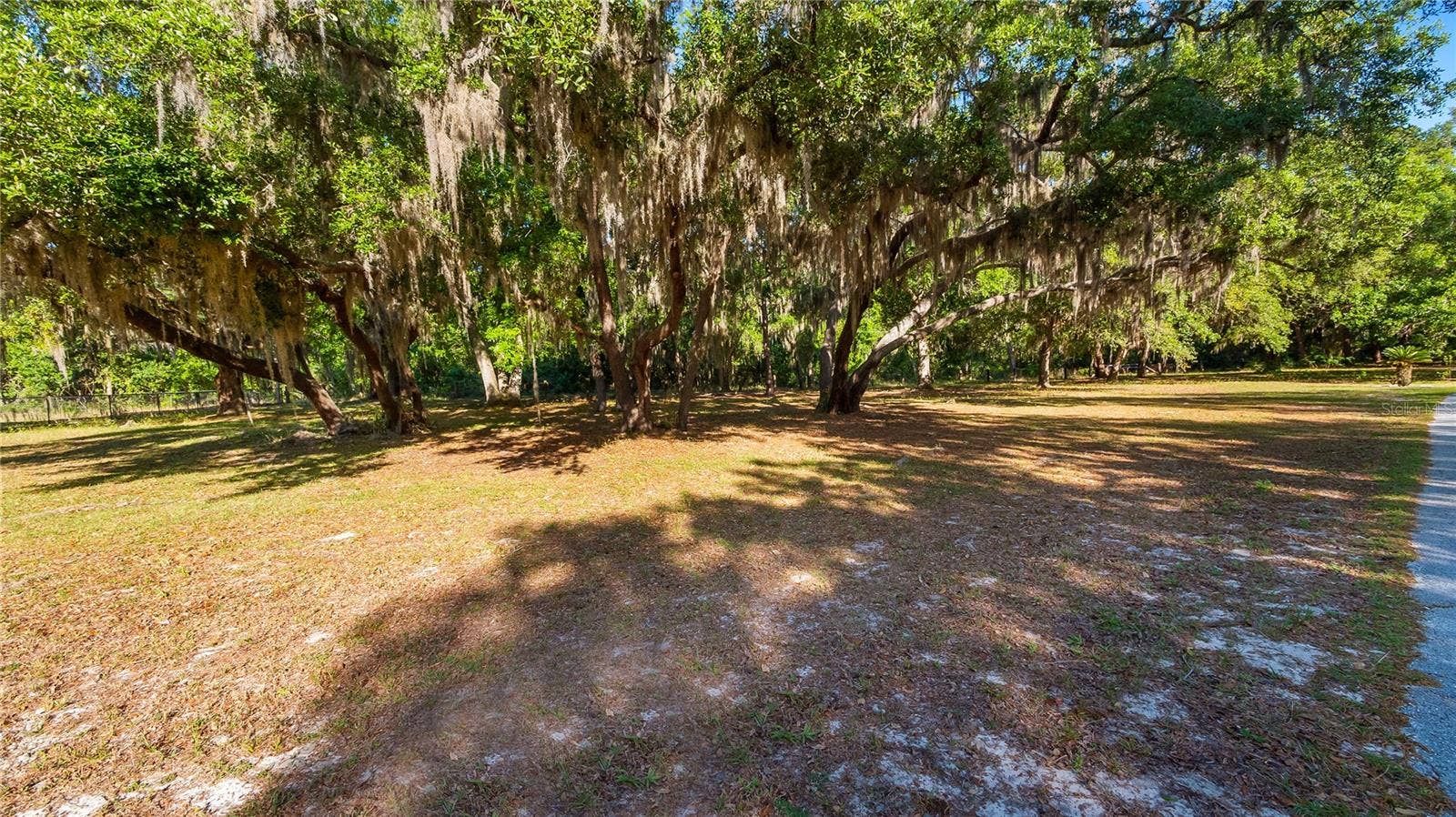 LEGACY WOODS, Groveland, FL 34736