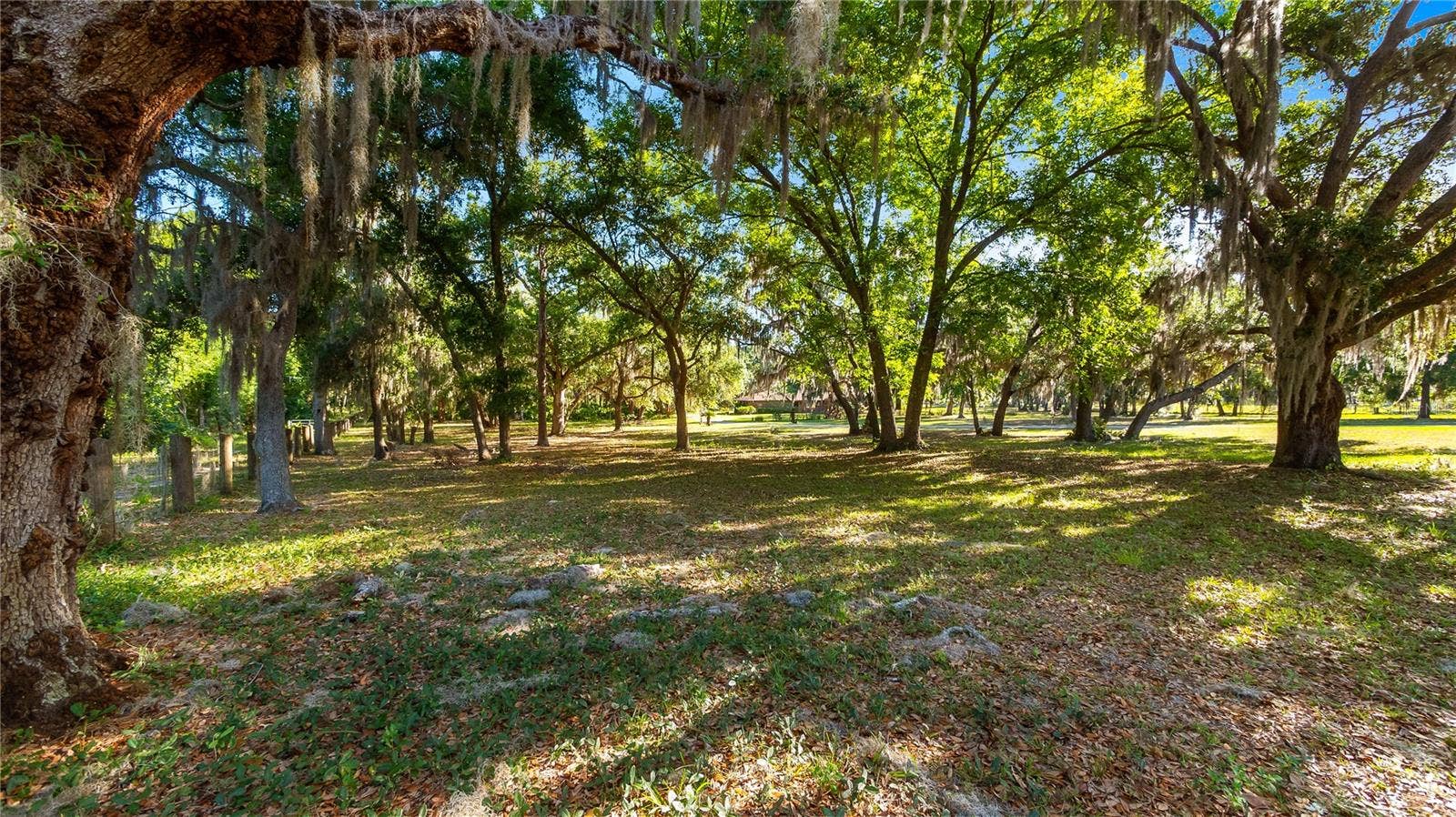 LEGACY WOODS, Groveland, FL 34736