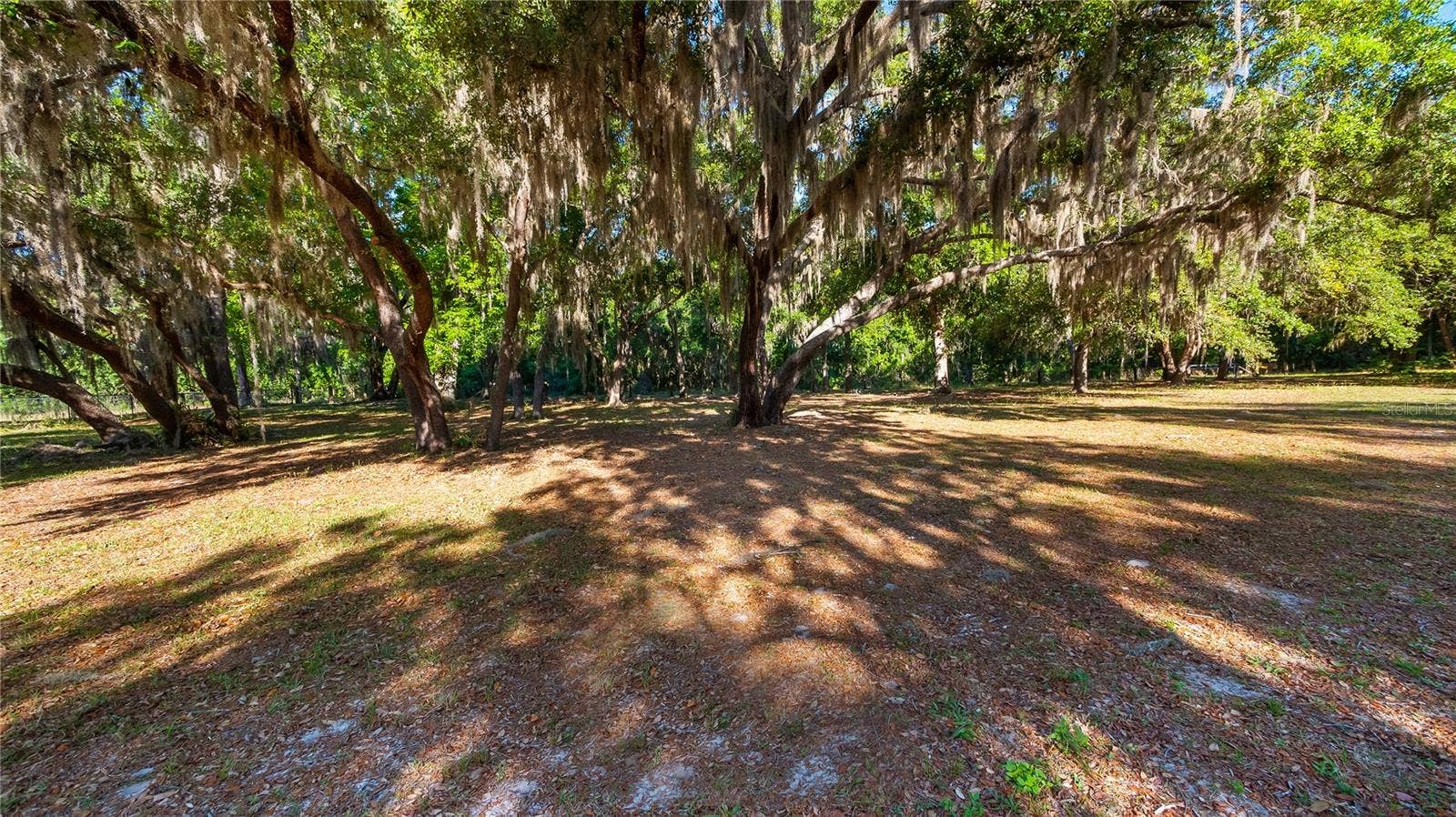 LEGACY WOODS, Groveland, FL 34736