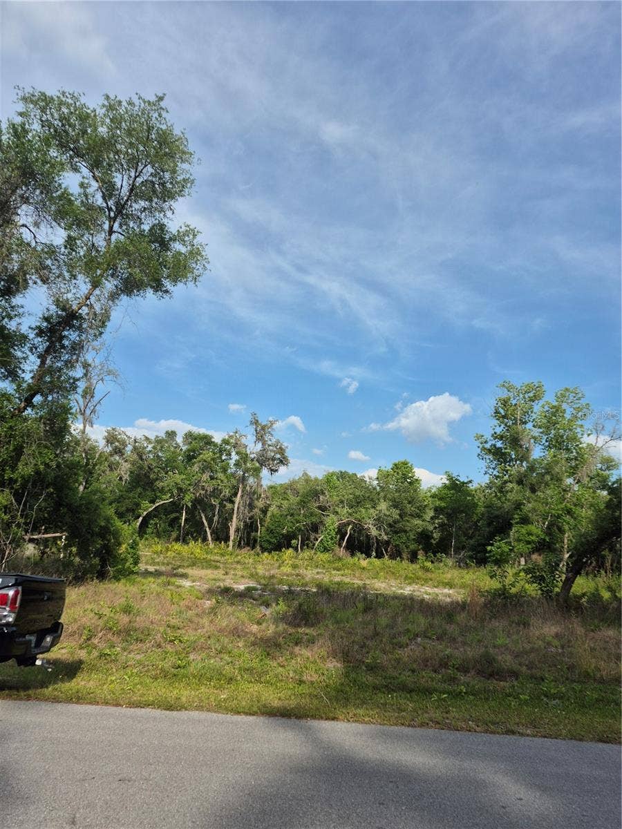 Property photo for 7490 SHASTA STREET, Webster, FL