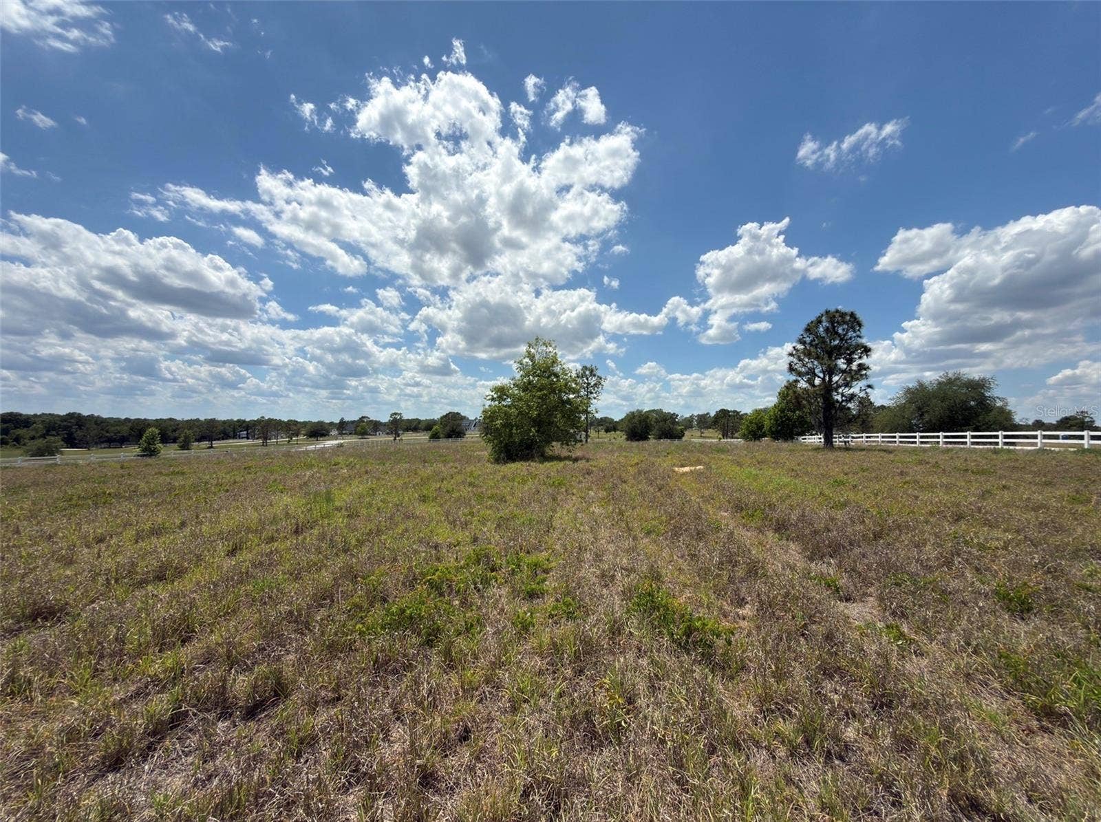 6115 RANCH LAKE ROAD, Groveland, FL 34736 6115 RANCH LAKE ROAD, Groveland, FL 34736
