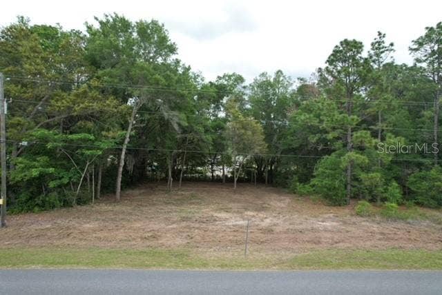 Property photo for TBD SW BEACH BOULEVARD, Dunnellon, FL