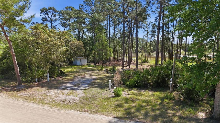 Property photo for TBD HOLLY BRANCH ROAD, Eustis, FL