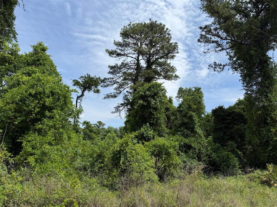 Property photo for 000 FOLKLORE DR, Satsuma, FL