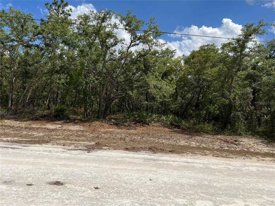Property photo for SAGE THRASHER AVE, Weeki Wachee, FL