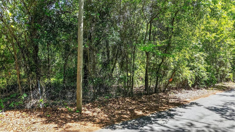 Property photo for TBD SE 2ND AVENUE, Gainesville, FL