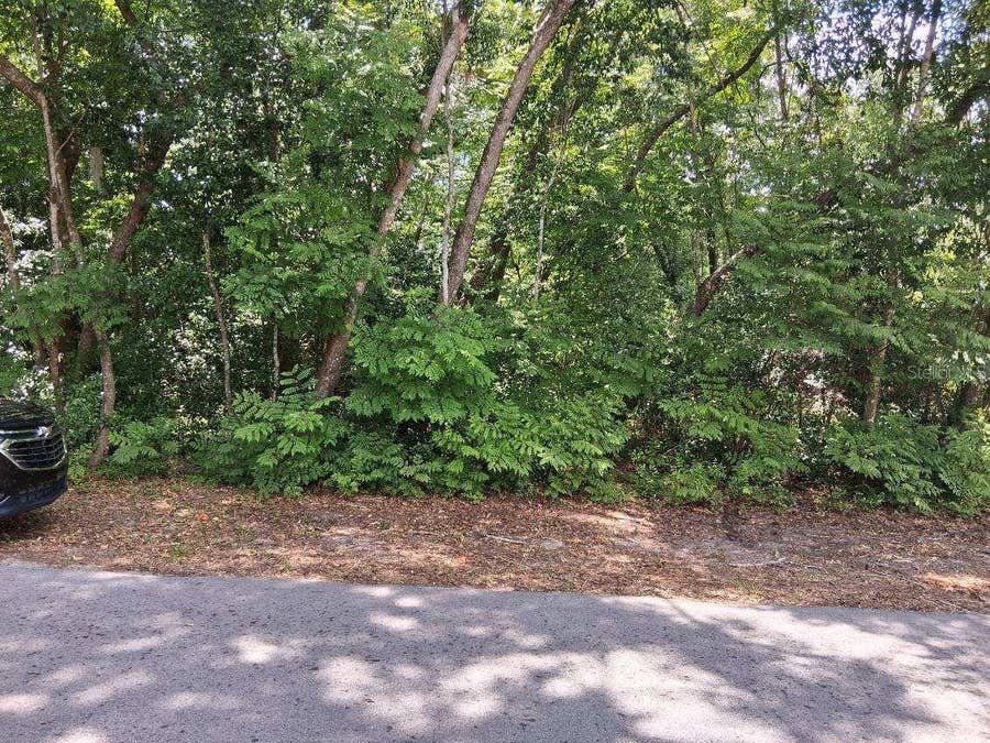 Property photo for NW 2ND STREET, Webster, FL