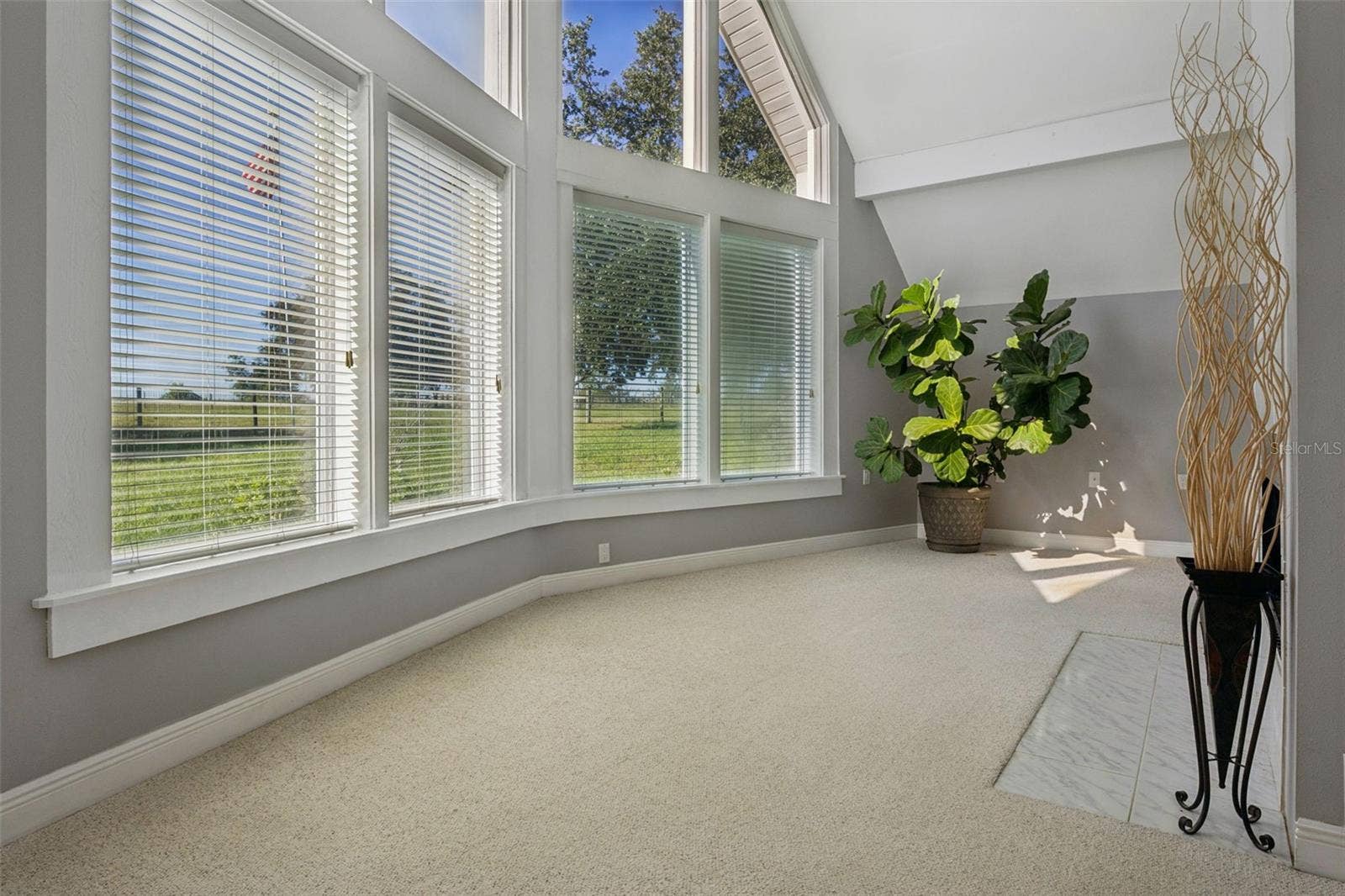 Living room with LOTS of sunlight