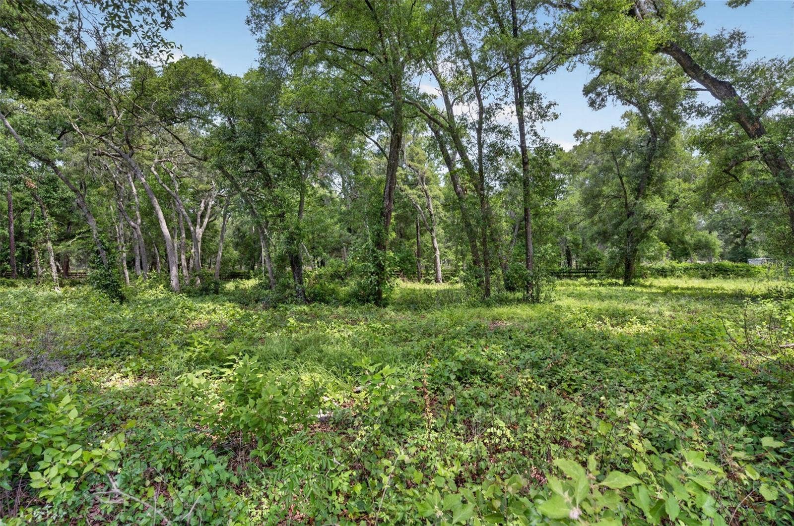 20621 SHADY OAK LANE, Eustis, FL 32736 20621 SHADY OAK LANE, Eustis, FL 32736