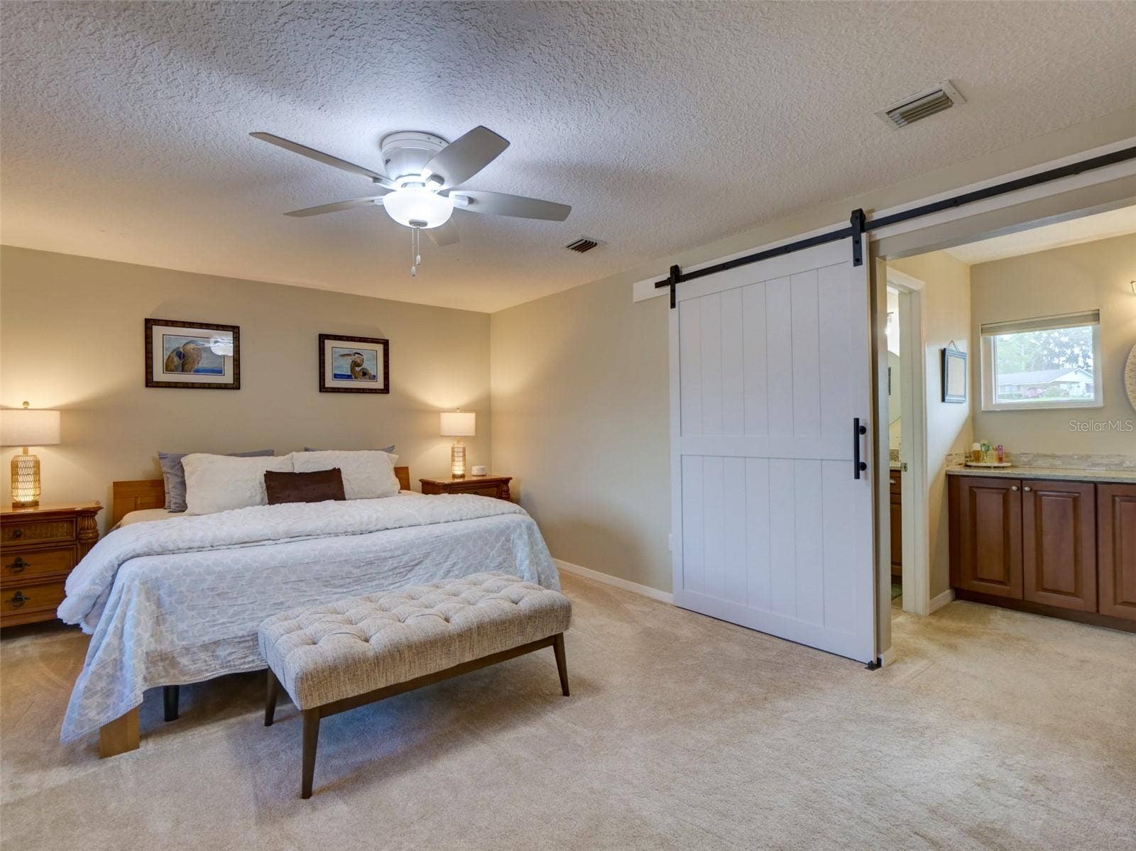 100 S TREMAIN STREET, #G2, Mount Dora, FL 32757 Primary Bedroom: Open Barn Door to the Bathroom