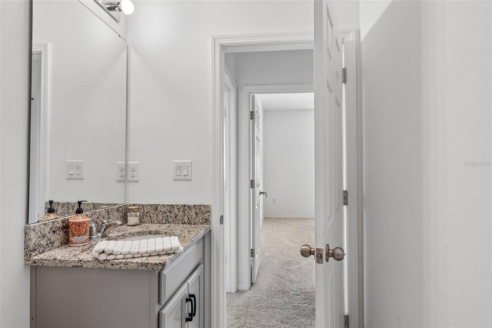 343 BLUE CYPRESS DRIVE, Groveland, FL 34736 343 BLUE CYPRESS DRIVE, Groveland, FL 34736