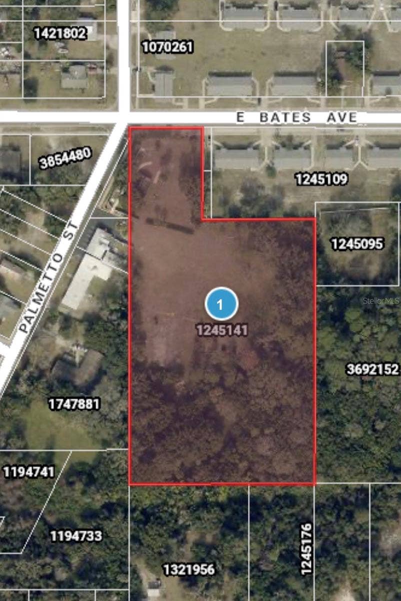 503 PALMETTO STREET, Eustis, FL 32726 Parcel behind restaurant is 4.2 acres