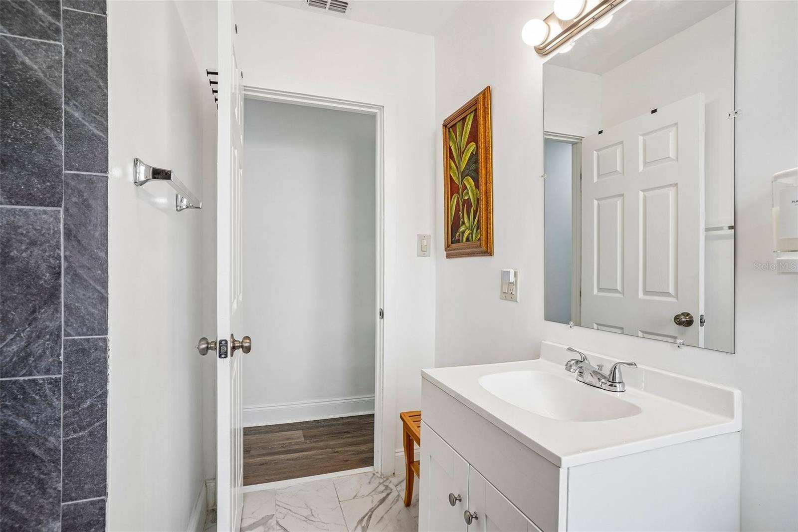 1211 MORNINGSIDE DRIVE, Mount Dora, FL 32757 1211 MORNINGSIDE DRIVE, Mount Dora, FL 32757