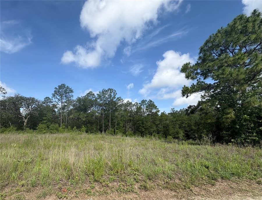 Property photo for TBD SW 152 COURT, Ocala, FL