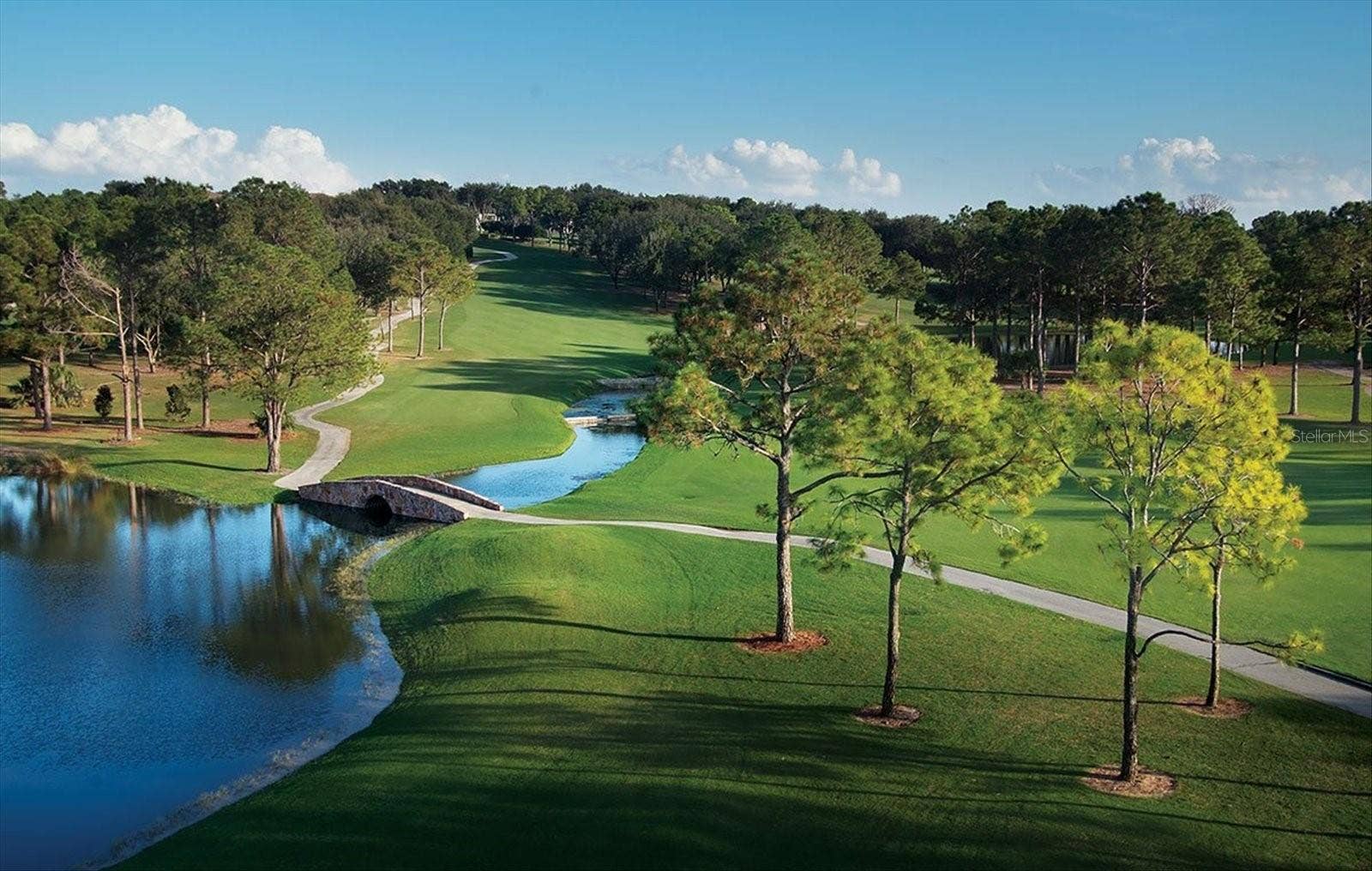 9219 SAN JOSE BOULEVARD, Howey In The Hills, FL 34737 El Campeon Golf Course