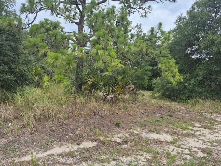 Property photo for 1626 S US 301, Sumterville, FL