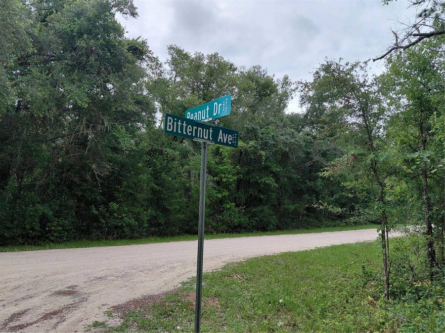 Property photo for PEANUT DRIVE, Webster, FL