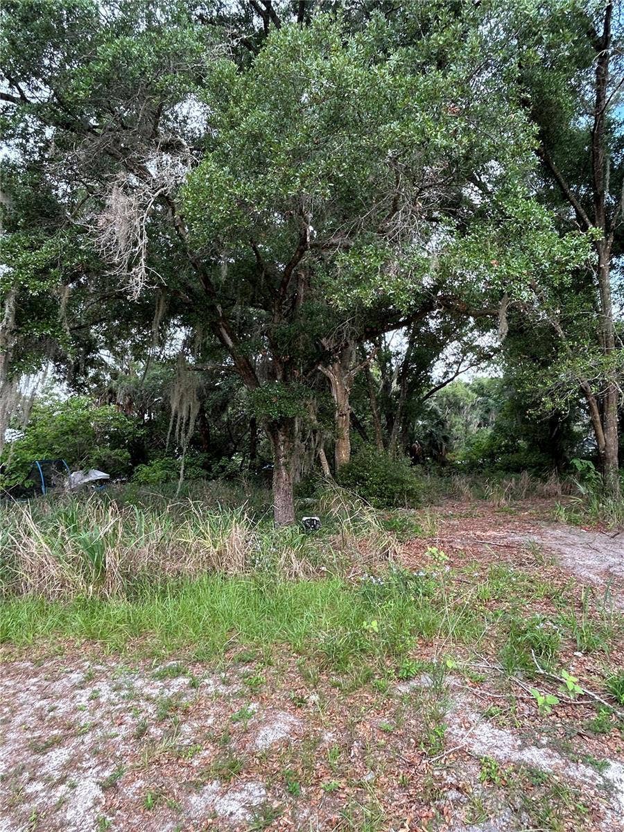 508 PALMETTO STREET, Eustis, FL 32726 Rear property