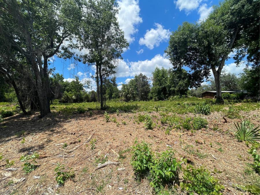 Property photo for COUNTY ROAD 42, Umatilla, FL