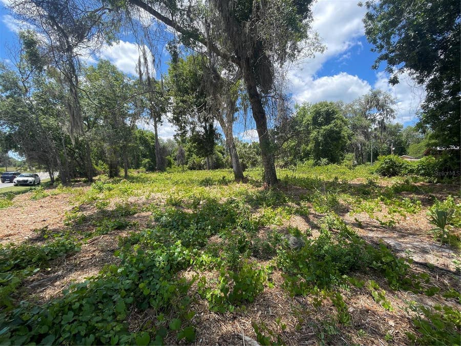 Property photo for COUNTY ROAD 42, Umatilla, FL