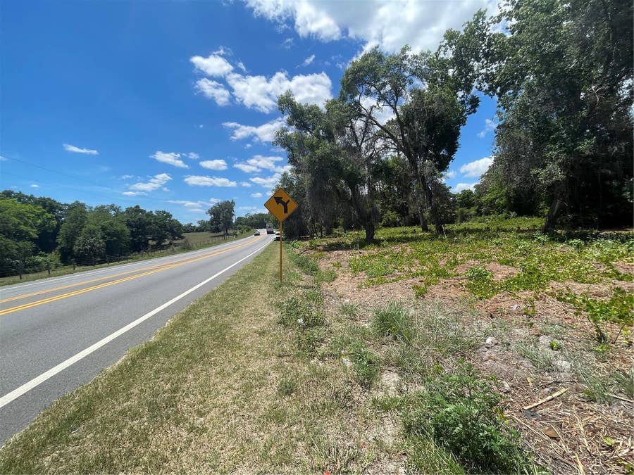 Property photo for COUNTY ROAD 42, Umatilla, FL