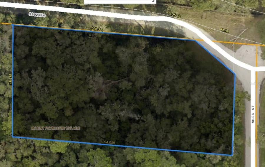 Property photo for 31699 NILES STREET, Mount Plymouth, FL