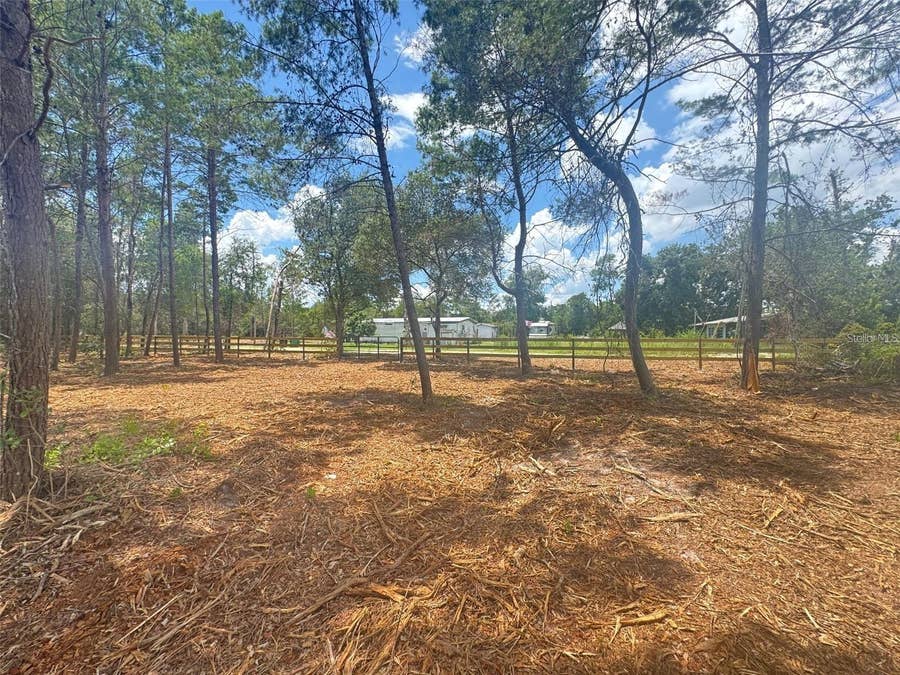 Property photo for E PINE STREET, Paisley, FL