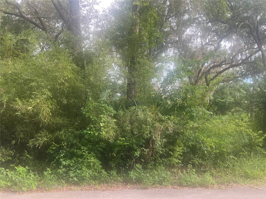 Property photo for NE 32ND STREET, Silver Springs, FL