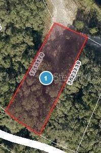 Property photo for REDBUD ROAD, Lady Lake, FL