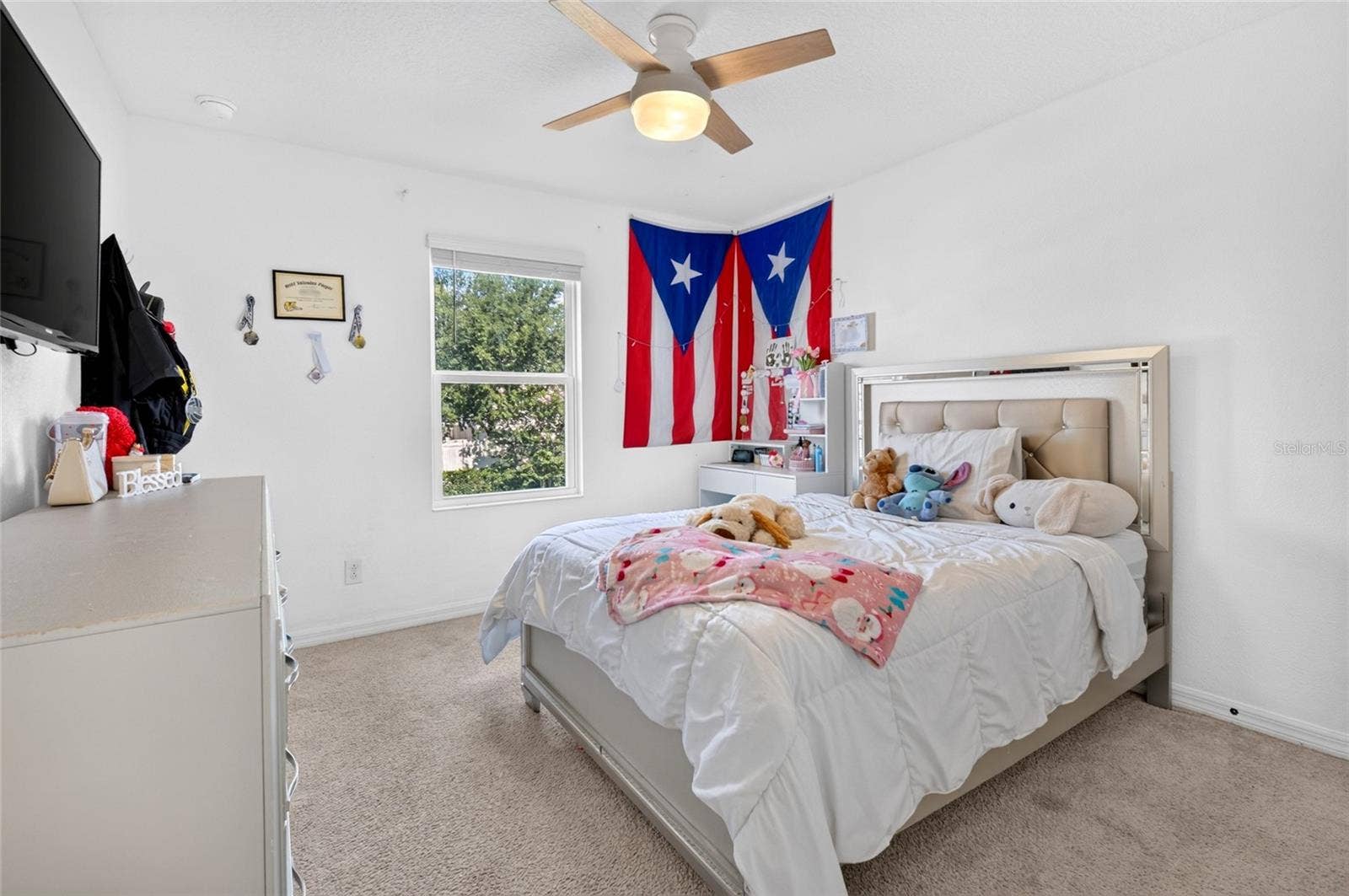 9399 VILLANOVA DRIVE, Groveland, FL 34736 9399 VILLANOVA DRIVE, Groveland, FL 34736