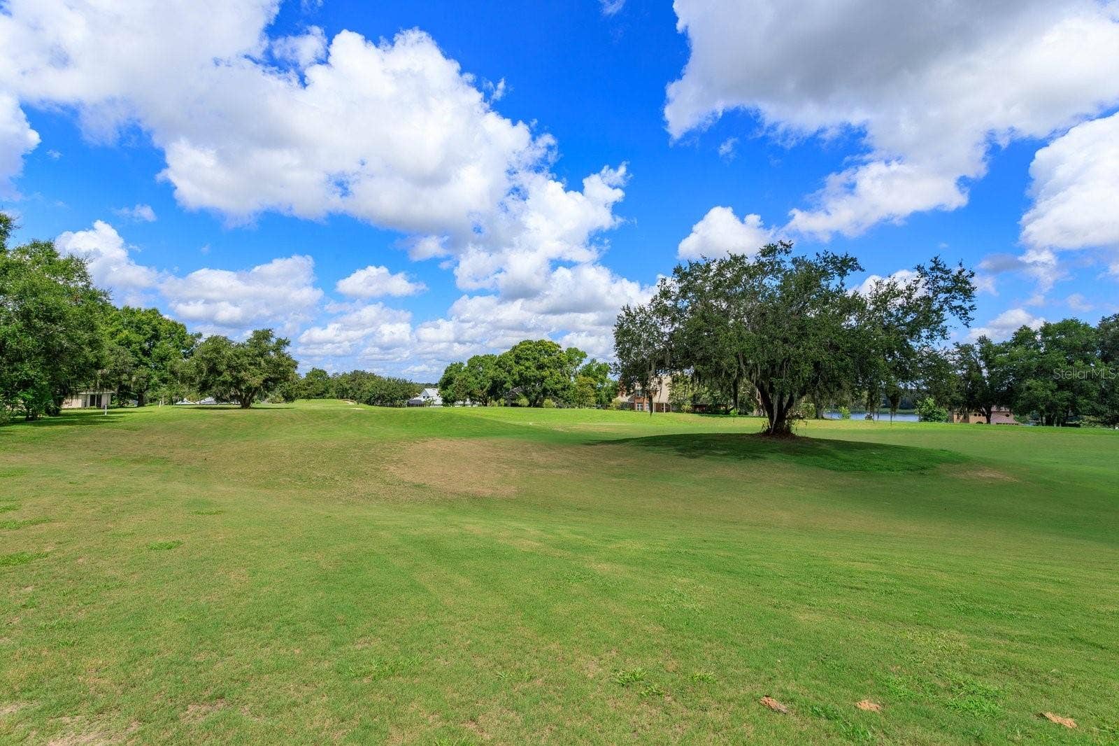 Golf Course View