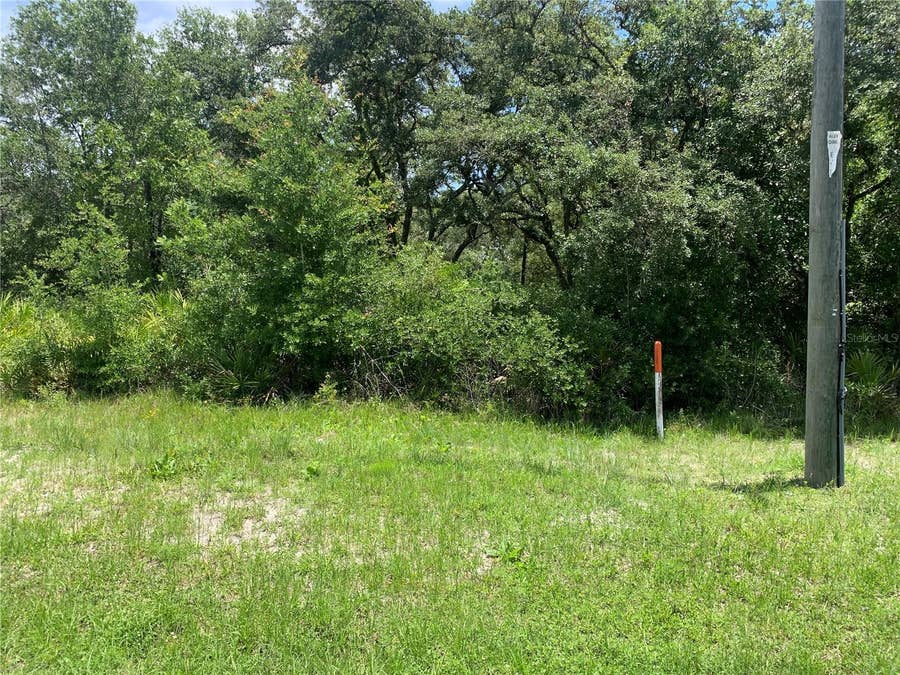 Property photo for 8098 TREIMAN BOULEVARD, Webster, FL