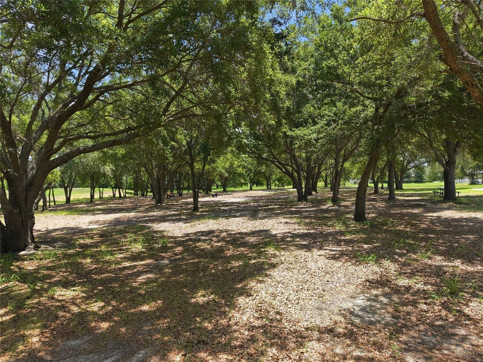 516 CADIZ DRIVE, Groveland, FL 34736 516 CADIZ DRIVE, Groveland, FL 34736