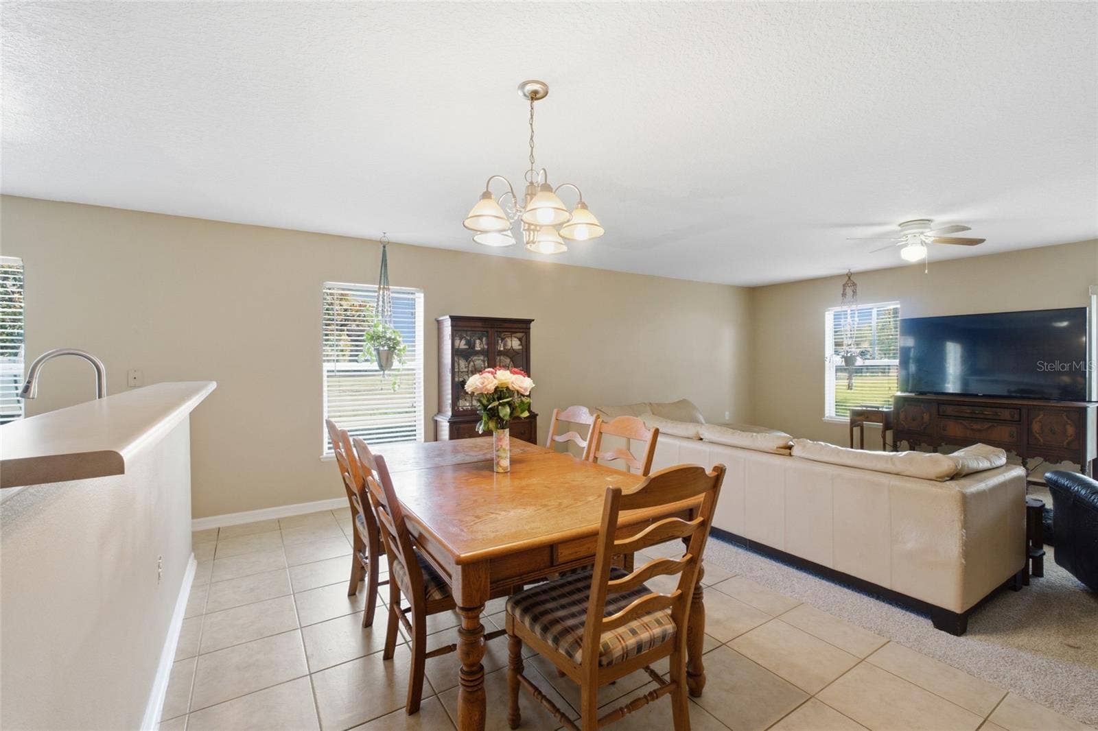 516 CADIZ DRIVE, Groveland, FL 34736 516 CADIZ DRIVE, Groveland, FL 34736