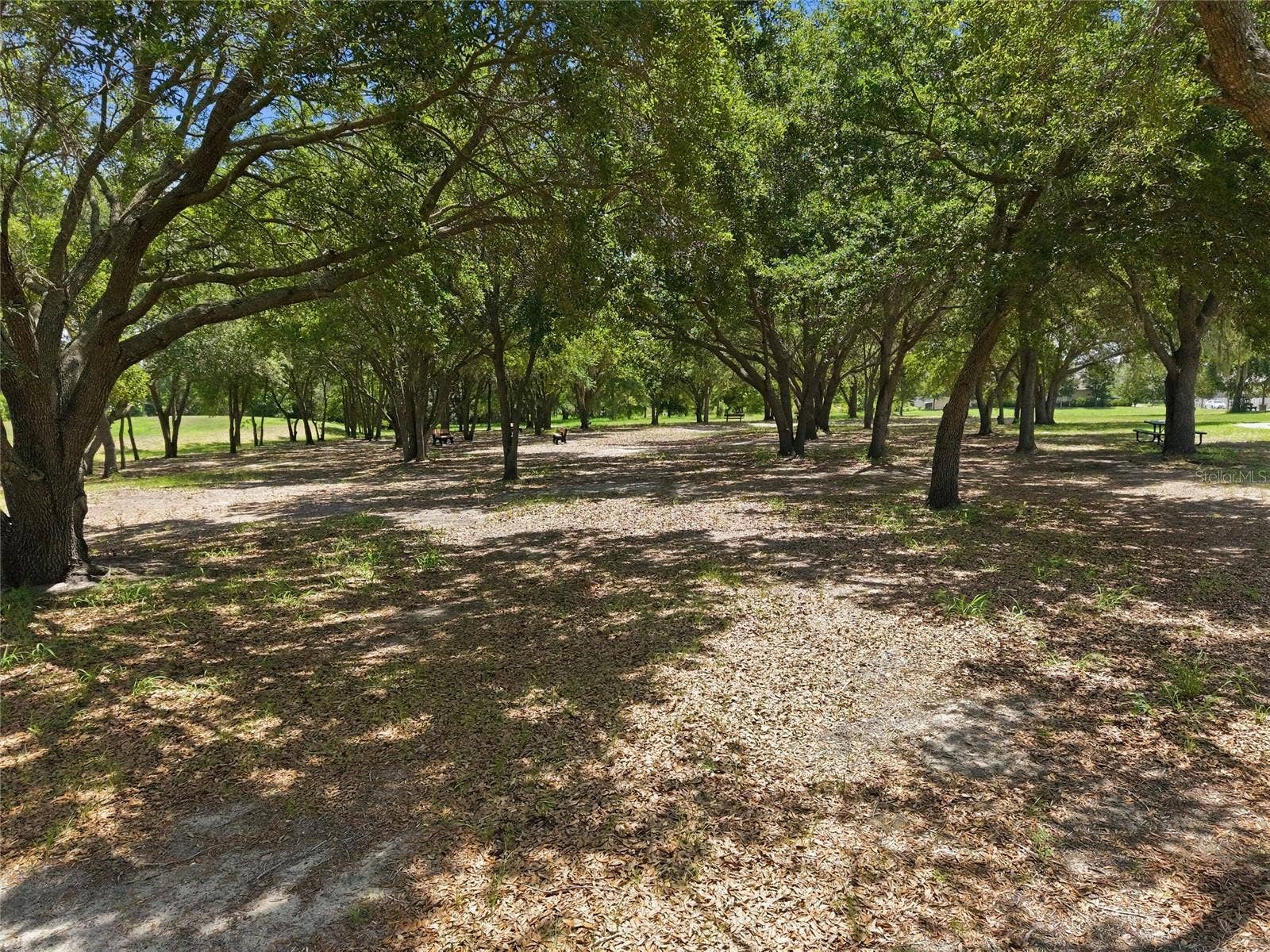 516 CADIZ DRIVE, Groveland, FL 34736 516 CADIZ DRIVE, Groveland, FL 34736