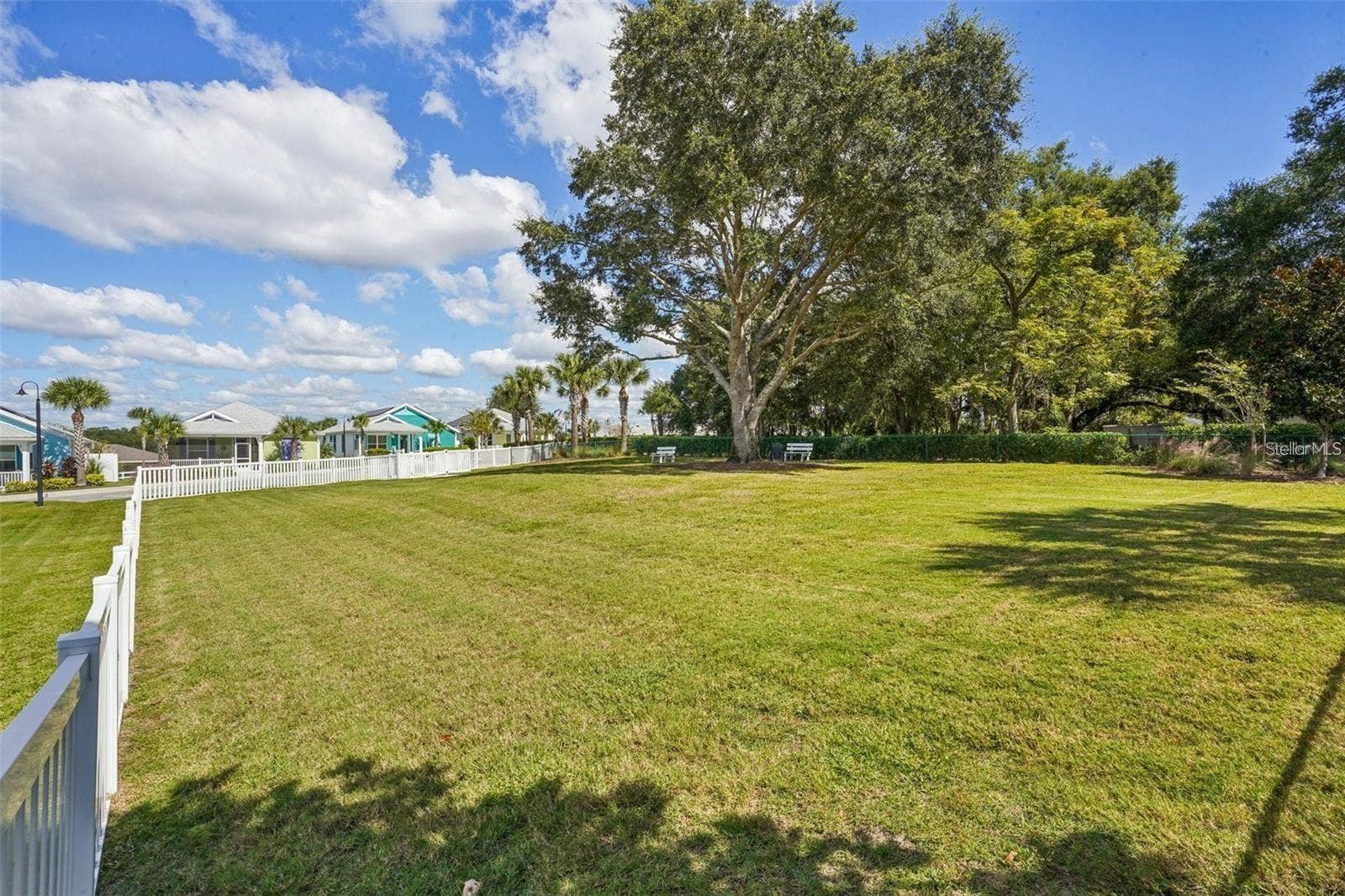 1212 FIESTA KEY CIRCLE, Lady Lake, FL 32159 Dog Park