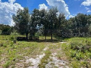 Property photo for LAUREL OAK AVENUE, Mims, FL