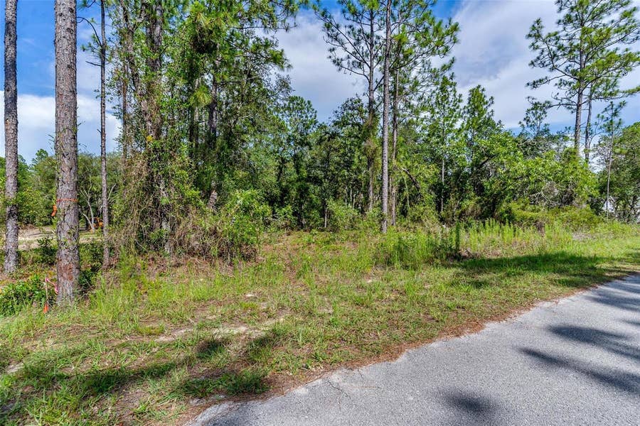 Property photo for SW VIOLA COURT, Dunnellon, FL